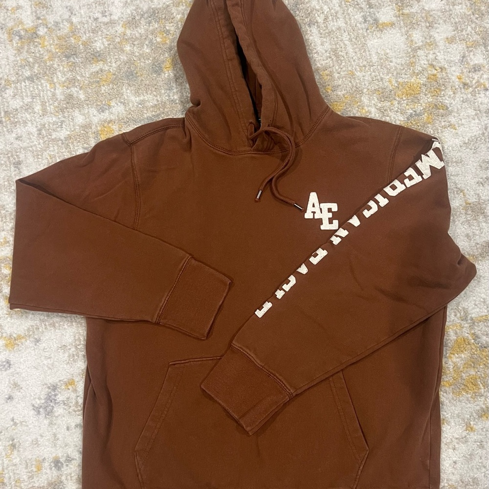 American Eagle Outfitters Chestnut Hoodie